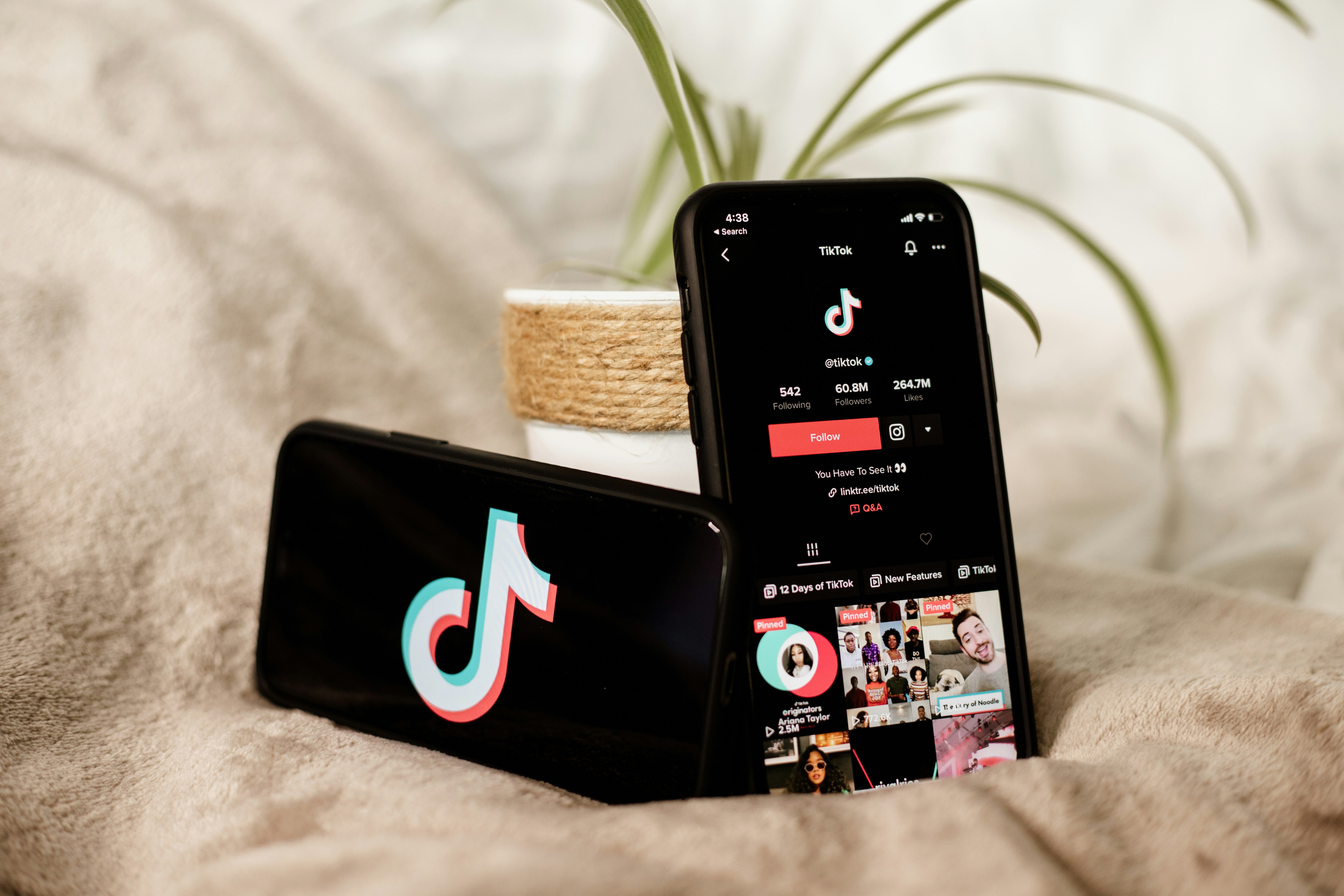 TikTok Growth Strategy Using Aged Accounts (Proven Method)